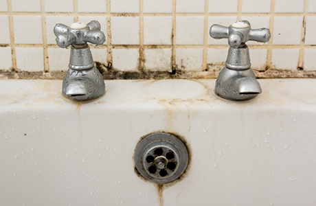 Removing mold may reduce adult asthma risk